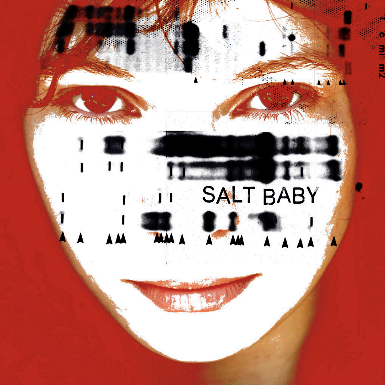 Salt Baby Show Art